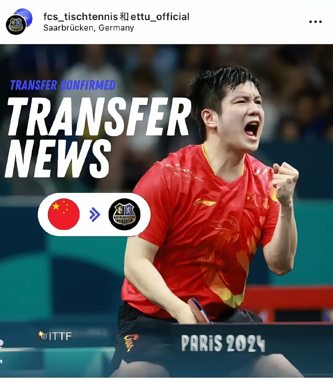 法国乒乓球队轻取波兰乒乓球队,樊振东送出助攻的简单介绍 法国乒乓球队轻取波兰乒乓球队,樊振东送出助攻的简单介绍